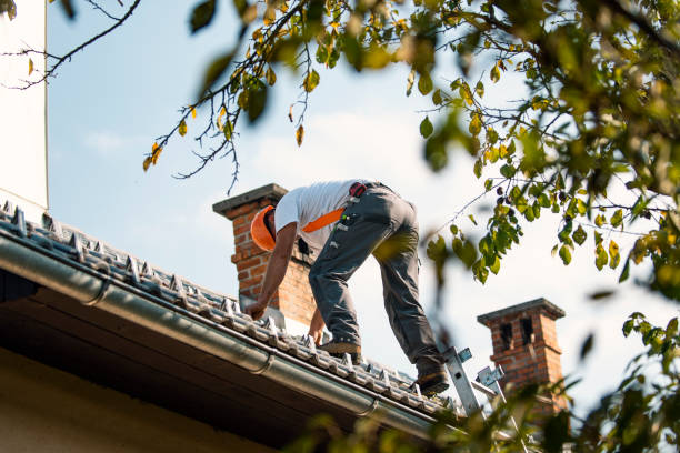Best Sealant for Roof  in Wahese, NC