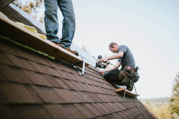 Best Roof Maintenance Services  in Wahese, NC